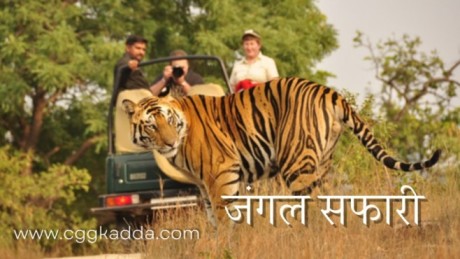 Chhattisgarh ki Rajdhani Raipur Jungle Safari , Chhattisgarh ki Rajdhani kahan hai | Chhattisgarh ki Rajdhani kya hai