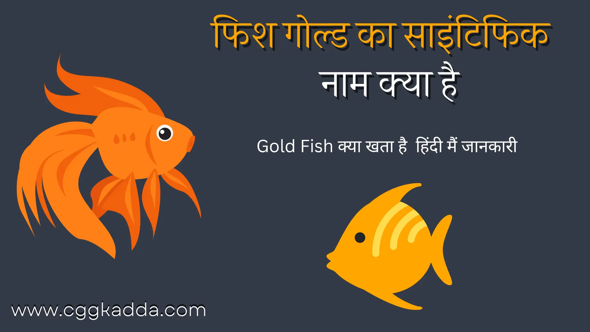 Goldfish का Scientific नाम क्या है | Goldfish Ka Scientific Naam kya hai